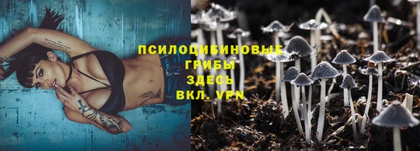 герыч Арсеньев
