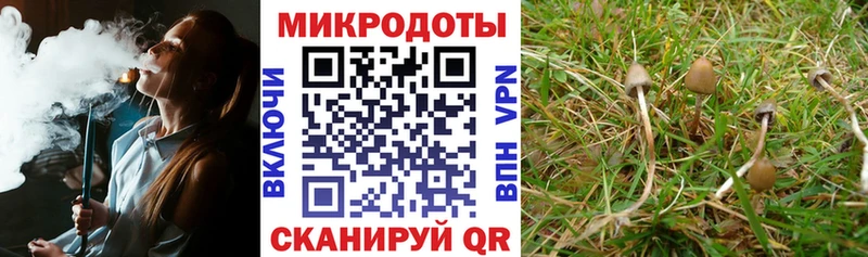 мега как зайти  хочу наркоту  Спасск-Дальний  Псилоцибиновые грибы Psilocybine cubensis 